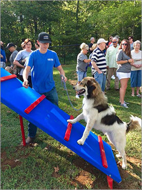 Gene Record Memorial Park - Dog Park